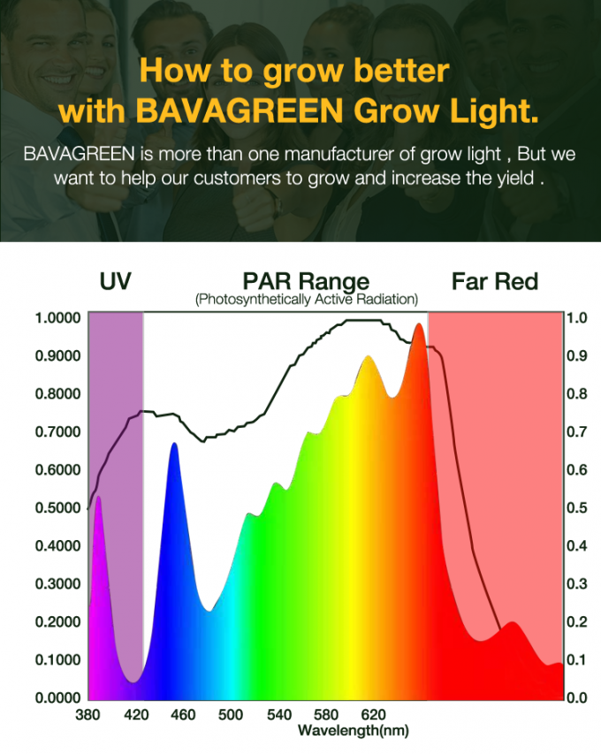 Full Spectrum Samsung LM301H 720W LED Grow Light For Medical Plant