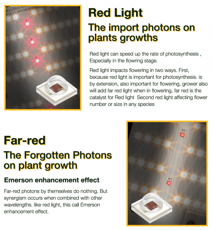 Full Spectrum Samsung LM301H 720W LED Grow Light For Medical Plant