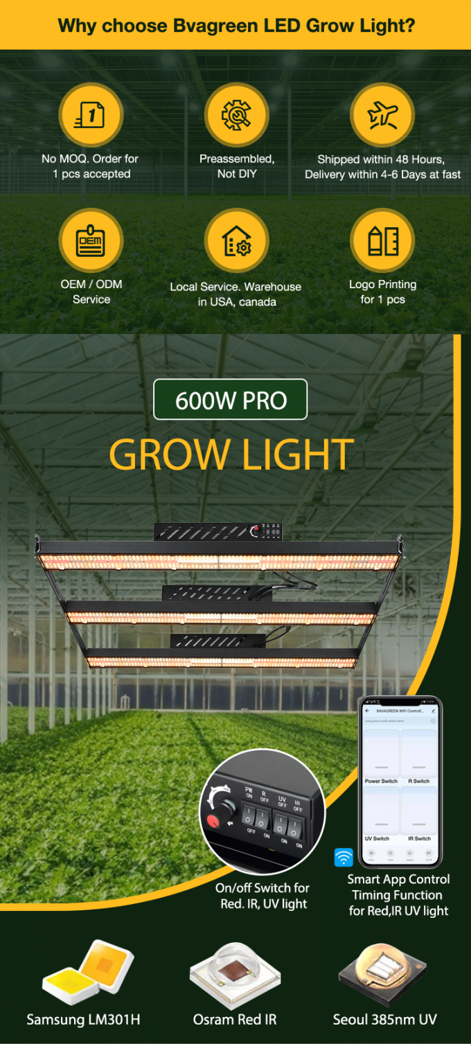 Sosen Driver 600W 5000k 385nm UV Full Spectrum Light Bar For Indoor ...
