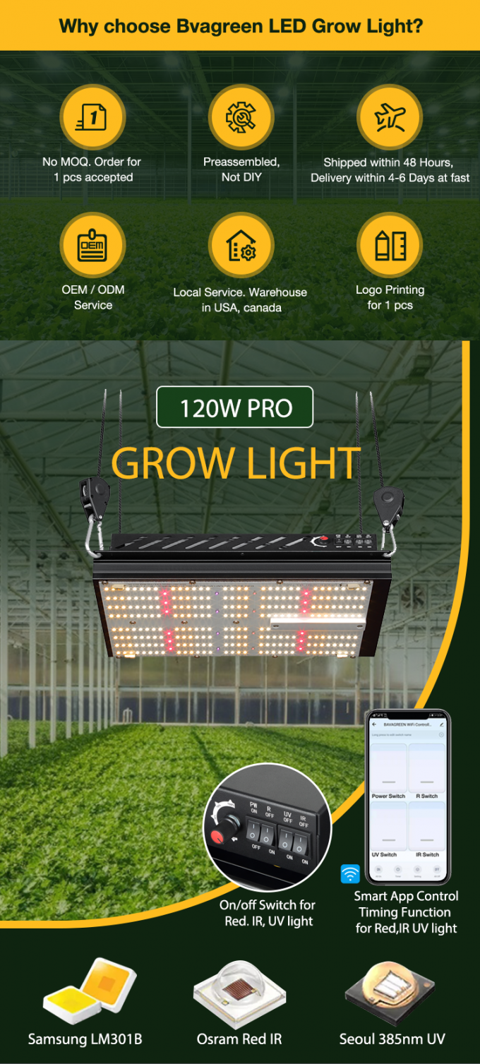 3000K 5000K LM301B Quantum Board 120W Samsung Indoor Garden Led Grow Lights