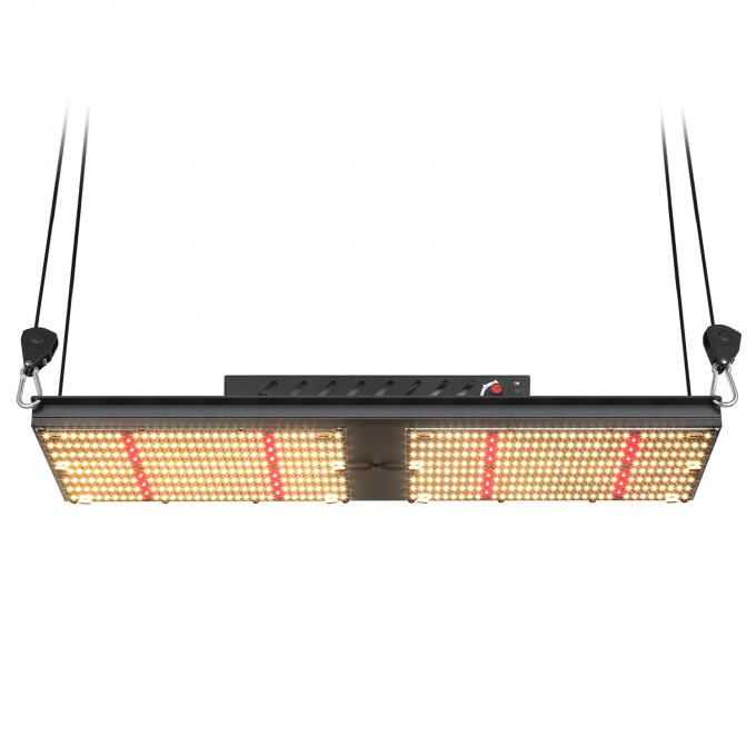 BAVAGREEN quantum board Samsung LM301H qb 240W LED Grow Light