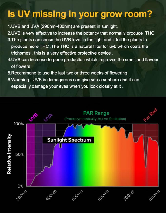 30w Uvb UVA Led Grow Light Bar bloom booster Supplemental light For