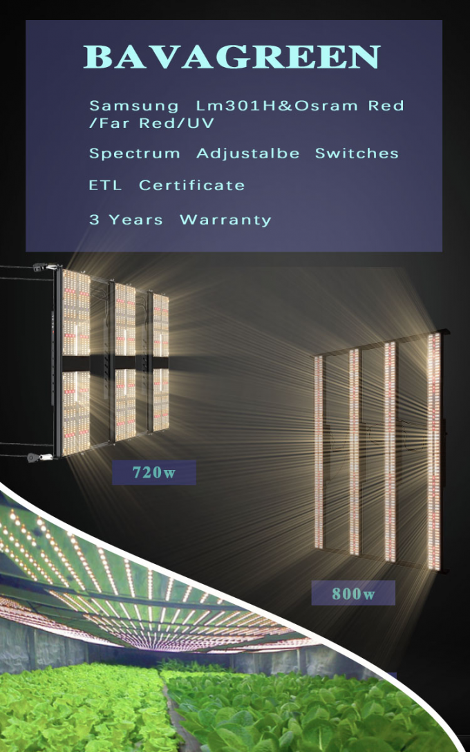 SAA IR LM301H LED Grow Light AC277V 800w Uva Uvb 5x5ft 4 Switches