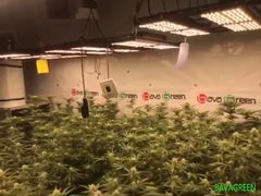 720w Pro Samsung Grow Light Application Introduction Video