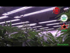 Detachable UV Red IR Veg Flower Plant Grow Lights 4 Single Bar For Plants Indoor