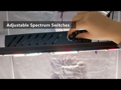 Waterproof SAMSUNG Quantum Board 240W BAVA Led Grow Lights