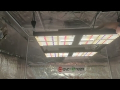 Meanwell Hlg Driver Horticulture LM301H Quantum Board 480 Watt 1248umol/s