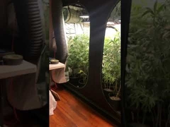 IR 730nm Meanwell Samsung 120W LM301H Quantum Board For 2X2ft Grow Tent