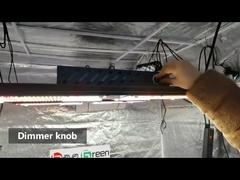 480W V2 Greenhouse Horticultural Grow Lights 660nm Oslon LM301H LED Grow Light