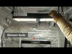 Electirc 240W LM301B LED Grow Light Full Spectrum Quantum Board