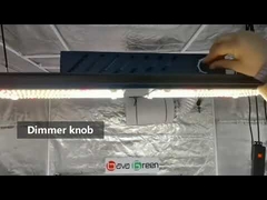 500 HID Led Lights For Growing Plants Indoors Greenhouse Grow Lamps 636 Umol/S