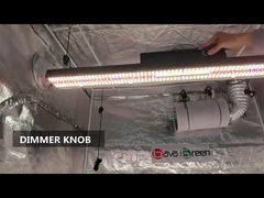 SAA Hydroponic Horticulture 200w Red IR UV Samsung Lm301h Strips