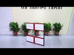 Horticultural 480w Lm301h Led Grow Light Red IR 1248umol/S For Plants