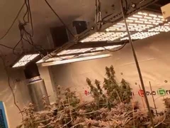Application of 720W PRO Grow Light add UV booster Light