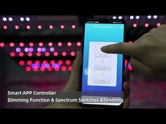 1080W Full Spectrum LED Grow Lights 5X5 5000K Cool White 2.65umol/J