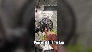 Ventilation Fan