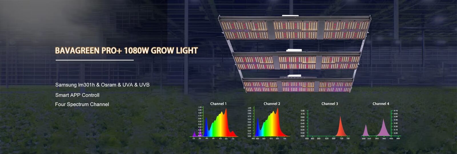 BAVAGREEN Grow Tent Complete Kit