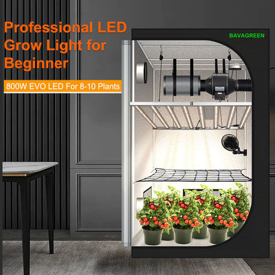 LM301H EVO LED Grow Light Bar factory, Buy good quality LM301H EVO LED ...