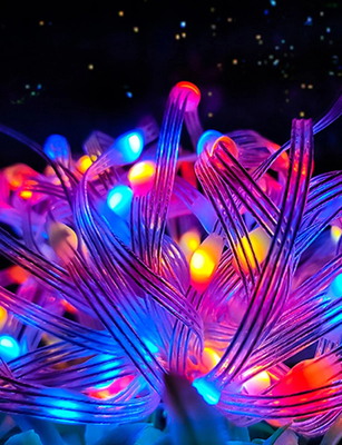 5m 10m App Control USB LED Leather Thread Lights String For Garden Tree Street Decor