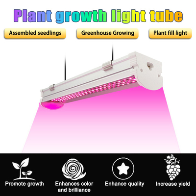 54W Horticulture Hydroponic LED Grow Lights 4ft T8 Full Spectrum For All Growth Stage