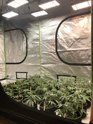 BAVAGREEN Growbox Complete Set 80x80cm 1680D Grow Tent with Dimmable LED Lamp Smart APP Air Ventilation Fan