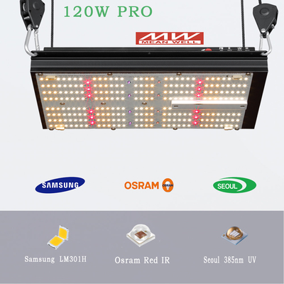 BAVAGREEN Growbox Complete Set 80x80cm 1680D Grow Tent with Dimmable LED Lamp Smart APP Air Ventilation Fan