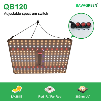 80x80x180cm Growbox Complete Set Full Spectrum 150W LED Grow Lamp Hydroponics 600D Growing Tent Kit with Inline Duct Fan