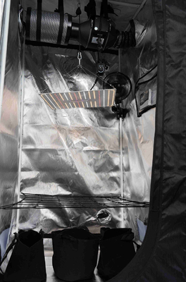 80x80x180cm Growbox Complete Set Full Spectrum 150W LED Grow Lamp Hydroponics 600D Growing Tent Kit with Inline Duct Fan