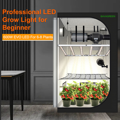 BAVAGREEN 600W LED Grow Light Samsung LM301H EVO UV IR Control Commercial Bar Growing Lamp For 120x120cm Plant Tent