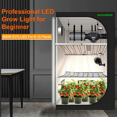 BAVAGREEN 800W Samsung LM301H EVO Commercial Plant Lamp Full Spectrum UV IR LED Grow Light for Horticulture Greenhouse