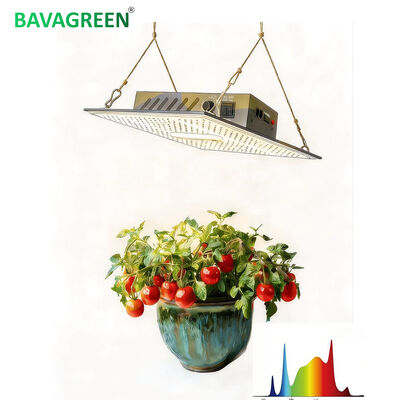 BAVAGREEN 130W Dimmable LED Grow Lamp Auto Time Full Spectrum Independent UV IR  LED Plant Light for Vegetables Flower