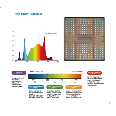 BAVAGREEN 130W Dimmable LED Grow Lamp Auto Time Full Spectrum Independent UV IR  LED Plant Light for Vegetables Flower