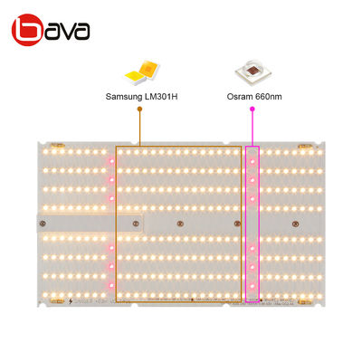 500 HID Led Lights For Growing Plants Indoors Greenhouse Grow Lamps 636 Umol/S