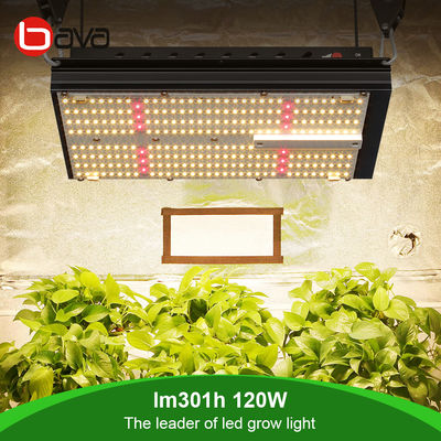 RoHS CCC LM301B Quantum Board 120W SAMSUNG 312Umol/S