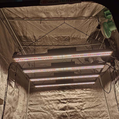 90 Cri LM301H LED Grow Light 5x5ft 660nm Samsung Horticulture LED Strip