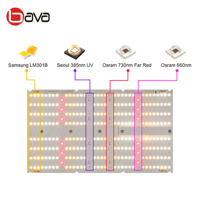 BAVA 480W LED Grow Light