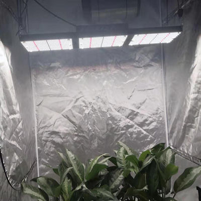 SAMSUNG LM301B Chips BAVA Quantum Board 320w Greenhouse Grow Lamps 816umol/s
