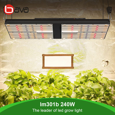 Grow Tent 2x4 SAMSUNG Quantum Board LM301B LED Grow Light 240 Watt