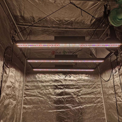 Sosen Driver 600W 5000k 385nm UV Full Spectrum Light Bar For Indoor Vegetable