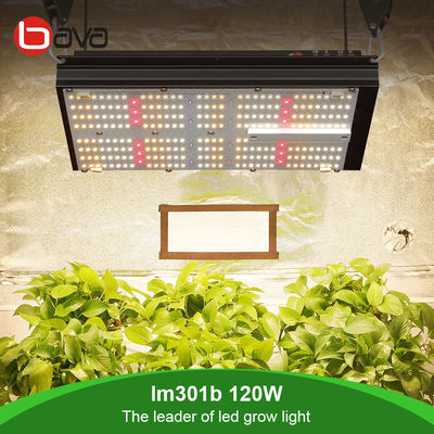 3000K 5000K LM301B Quantum Board 120W Samsung Indoor Garden Led Grow Lights