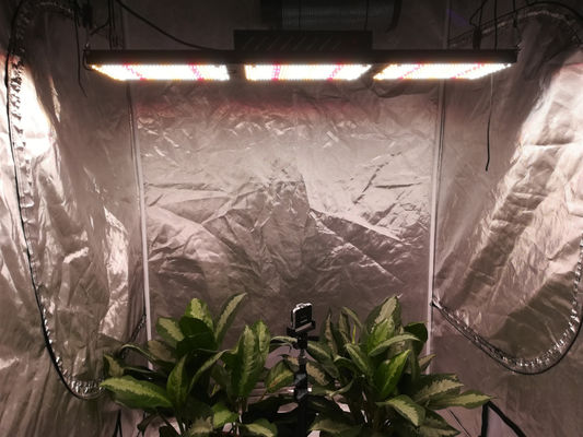 5000K Full Spectrum LED Grow Lights