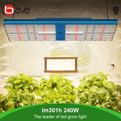 3000K Oslon SSL 660nm Red 240W LED Grow Light SAMSUNG LM301H Quantum Board