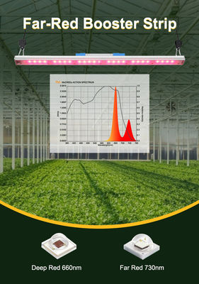 30W 660nm Red LED Grow Light SAA
