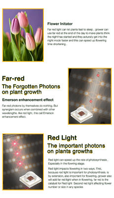 ETL 730nm 660nm UV IR LED Grow Light 30W Led Indoor Grow Lights