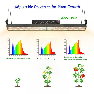 IP20 Samsung 520Umol/S LM301H Led Plant Grow Lights 200W 2.6umol/W