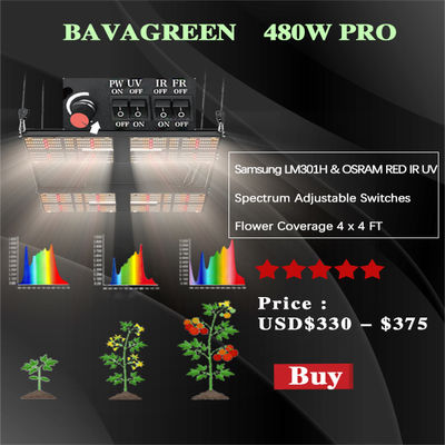 480W SAMSUNG QB288 V3 LM301H Full Spectrum LED Grow Lights CETL