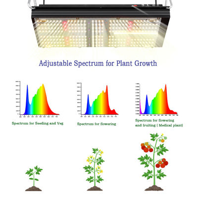 BAVA 2.8umol Led Herb Grow Light Red 660nm Uv 120w 312Umol/s
