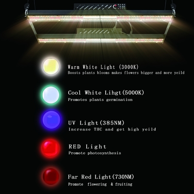 2.45Umol/J 400w Waterproof Led Grow Light 5000k Dob Full Spectrum