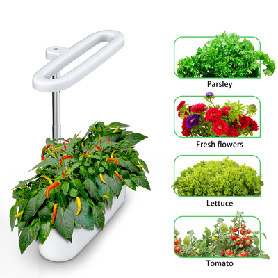 BAVA Seed Pod Hydroponic Growing Light 12W Irrigation Ventilation