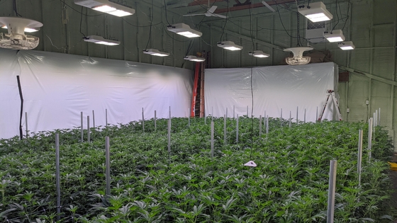 Dimmable Commercial 660nm LED Grow Lamp HPS Fixture Replacement